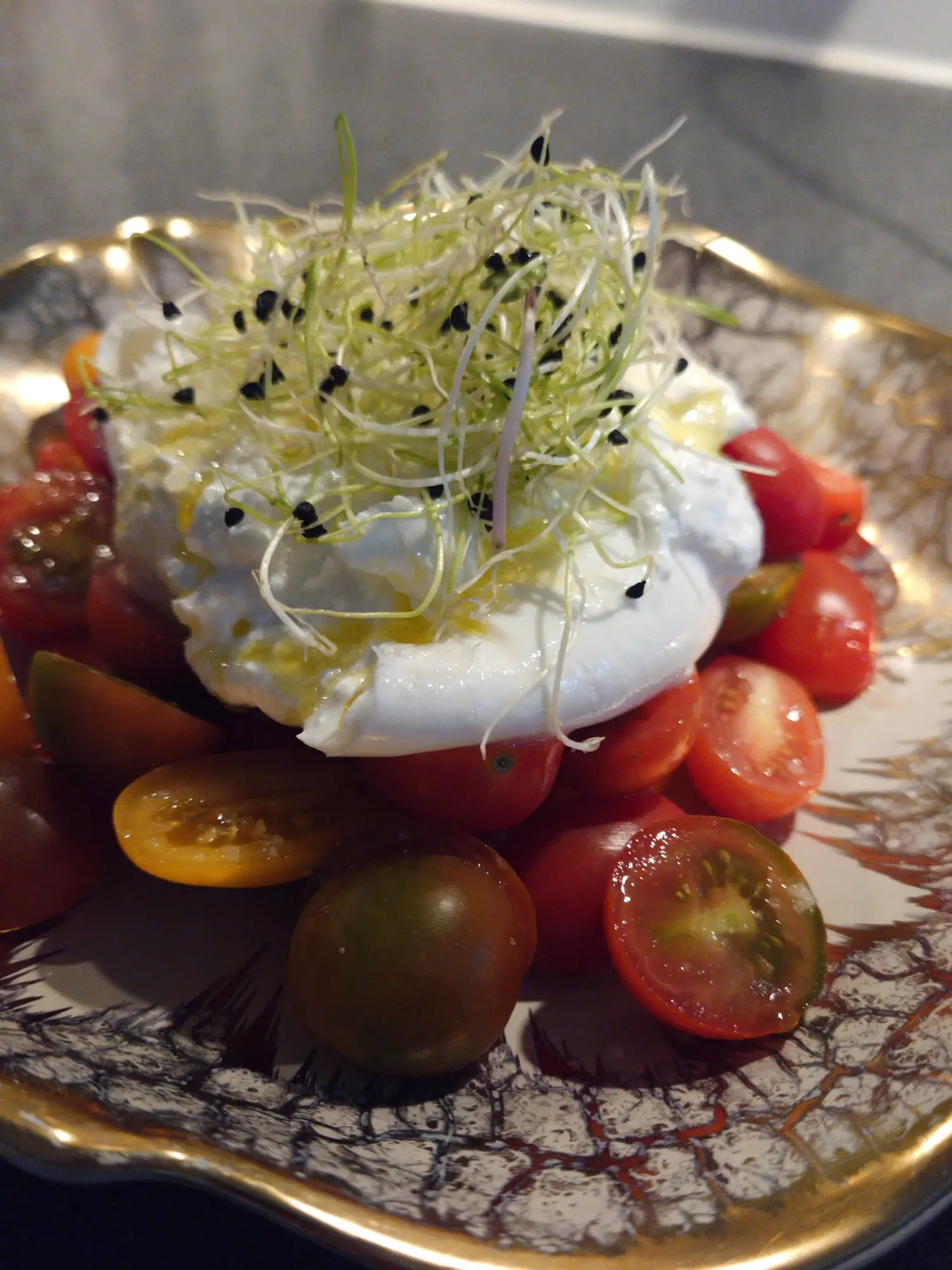 Burrata på marinerede tomater med spirer og olivenolie